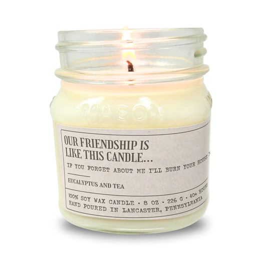 Sarcastic funny offensive candle