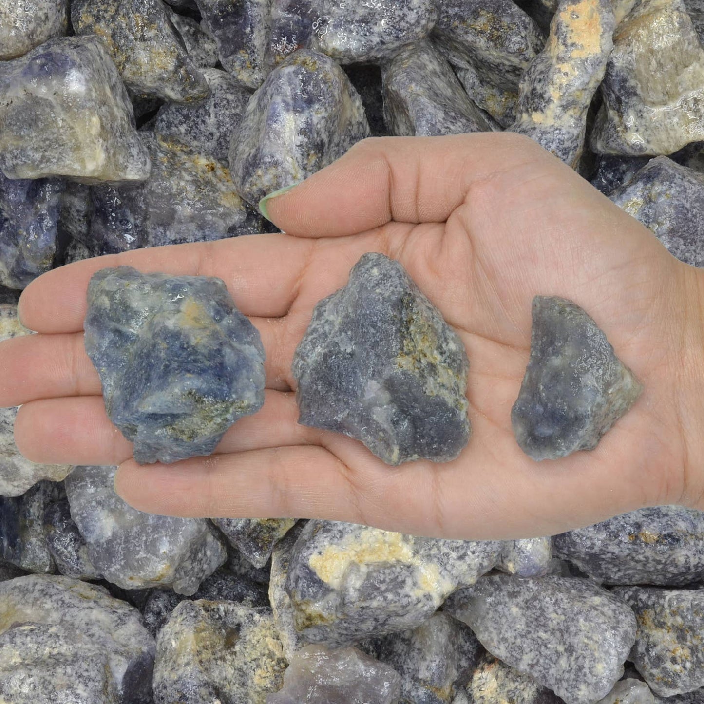 Fantasia Mining - Rough Iolite - India - Raw Natural Stones (1 lb)