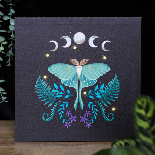 Something Different Wholesale - Luna Moth Light Up Canvas Plaque - The Oddity Den