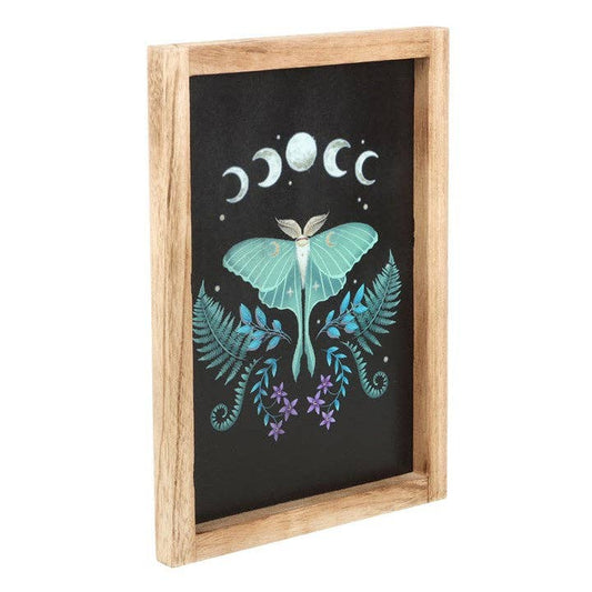 Something Different Wholesale - Luna Moth Wooden Framed Wall Art - The Oddity Den