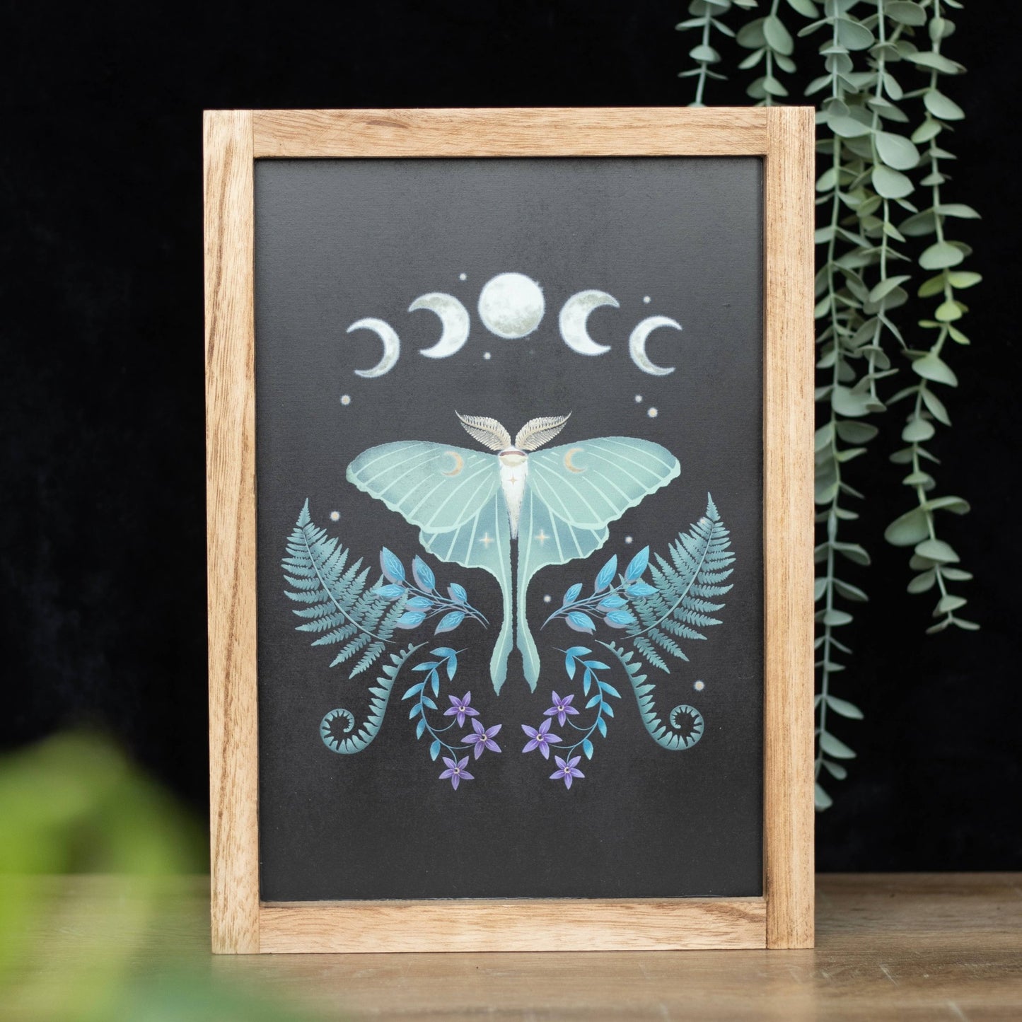 Something Different Wholesale - Luna Moth Wooden Framed Wall Art - The Oddity Den