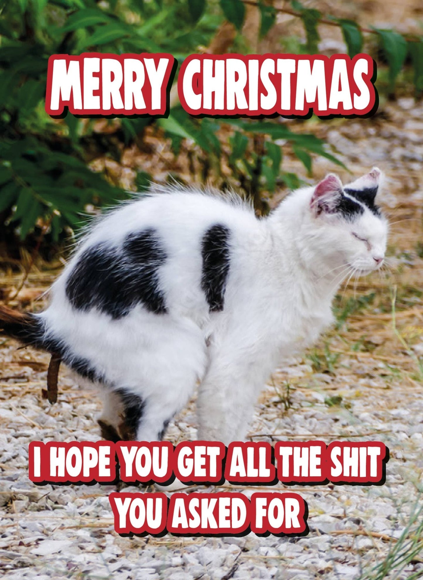 Christmas Card - I Hope You Get All The Sh*t You Asked for - The Oddity Den