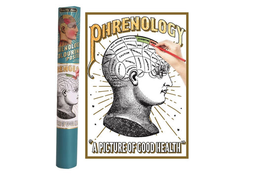 Phrenology Coloring Poster In Gift Tube - The Oddity Den